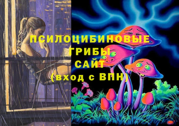 дмт Нефтекумск