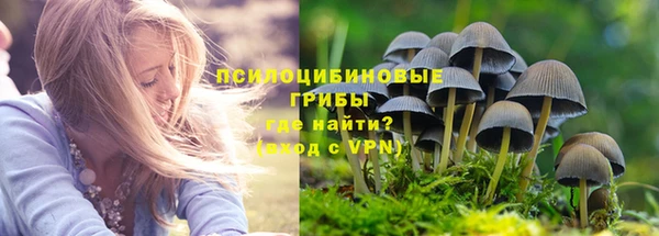 скорость mdpv Бикин