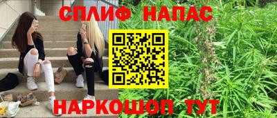 гашик Гусь-Хрустальный