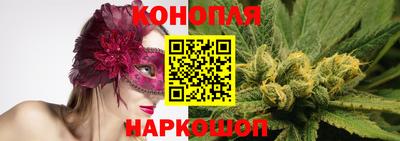 гашик Гусь-Хрустальный