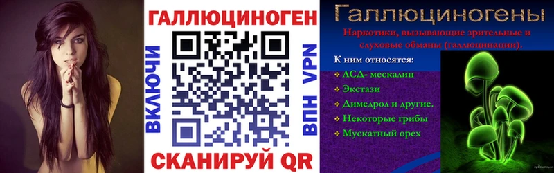 blacksprut сайт  Павловский Посад  Псилоцибиновые грибы Psilocybe 