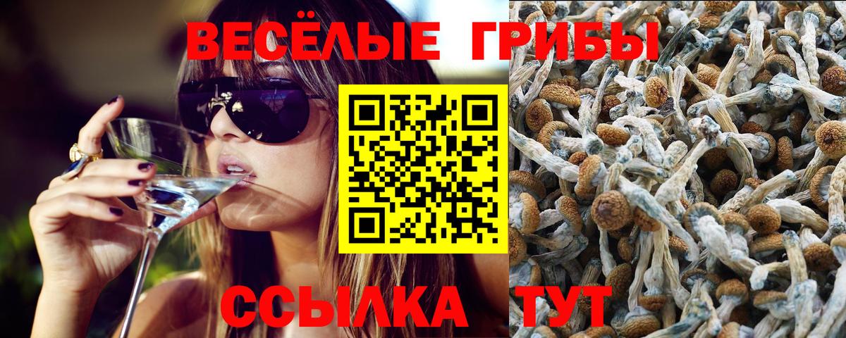 Галлюциногенные грибы MAGIC MUSHROOMS Павловский Посад