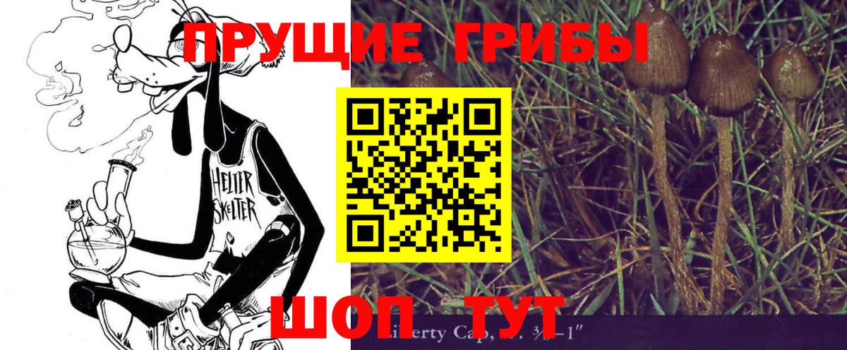 Псилоцибиновые грибы MAGIC MUSHROOMS  Павловский Посад 