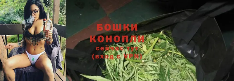 сколько стоит  Павловский Посад  Конопля THC 21% 